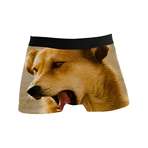 Calzoncillos tipo bóxer para hombre, calzoncillos tipo bóxer, para perros, cachorros, mascotas, ropa interior elástica y transpirable, paquete de 1, 1 color, S