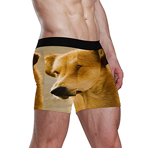 Calzoncillos tipo bóxer para hombre, calzoncillos tipo bóxer, para perros, cachorros, mascotas, ropa interior elástica y transpirable, paquete de 1, 1 color, S