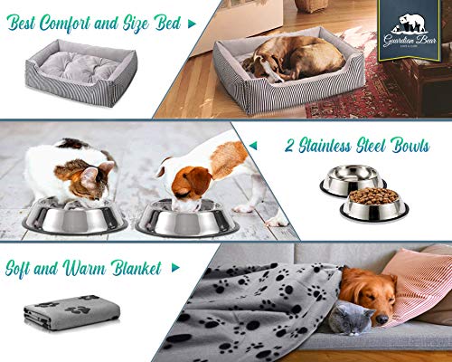 Cama Perro o Cama Gato 65x50cm con Comedero, Bebedero y Manta. Pack 4 en 1 Básico para Mascotas Pequeñas y Cachorros (Gris)