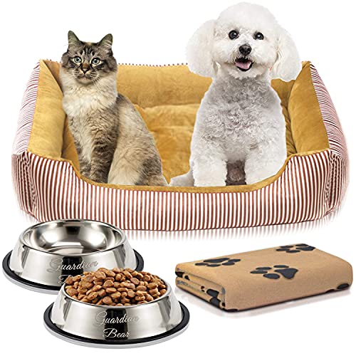 Cama Perro o Cama Gato 65x50cm con Comedero Perro, Bebedero Perro, Manta Perro. Pack 4 en 1 Básico para Mascotas Pequeñas y Cachorros