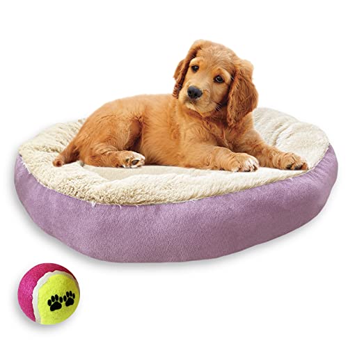 Cama Suave y Mullida para Perros y Gatos. Camita Lavable para Mascotas. Cojín para Mascotas Pequeñas o Medianas. Incluye Pelota de Tenis para Juegos. (Rosa)