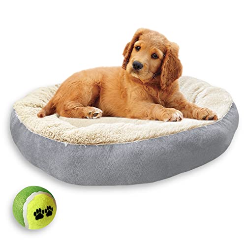 Cama Suave y Mullida para Perros y Gatos. Camita Lavable para Mascotas. Cojín para Mascotas Pequeñas o Medianas. Incluye Pelota de Tenis para Juegos. (Gris)