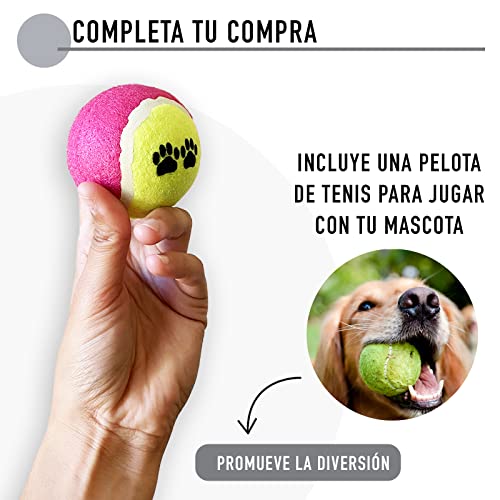 Cama Suave y Mullida para Perros y Gatos. Camita Lavable para Mascotas. Cojín para Mascotas Pequeñas o Medianas. Incluye Pelota de Tenis para Juegos. (Rosa)