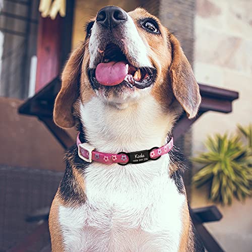 CAMAL Chapa Perro Grabada, Juego de 3 Piezas Placas para Perros y Gatos, Chapas Personalizadas