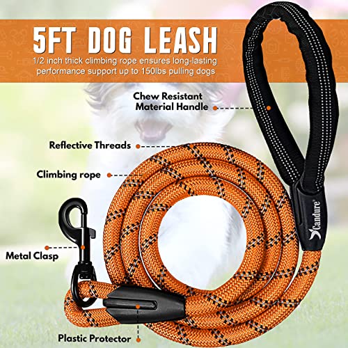 Candure Correa Perro con Mango Acolchado Suave y Nylon Sólido/Larga Reflectante Cuerda 5 ft Correas Perros Grande, Medianos y Pequeño - Adecuado para Adiestramiento,Correr y Senderismo (Naranja)