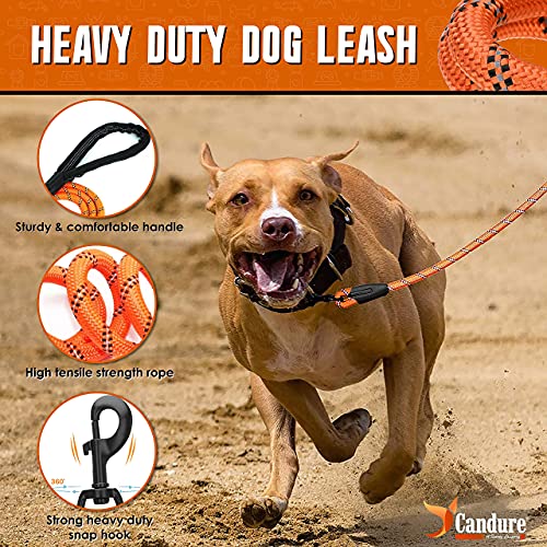 Candure Correa Perro con Mango Acolchado Suave y Nylon Sólido/Larga Reflectante Cuerda 5 ft Correas Perros Grande, Medianos y Pequeño - Adecuado para Adiestramiento,Correr y Senderismo (Naranja)