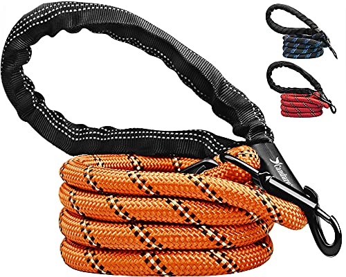 Candure Correa Perro con Mango Acolchado Suave y Nylon Sólido/Larga Reflectante Cuerda 5 ft Correas Perros Grande, Medianos y Pequeño - Adecuado para Adiestramiento,Correr y Senderismo (Naranja)