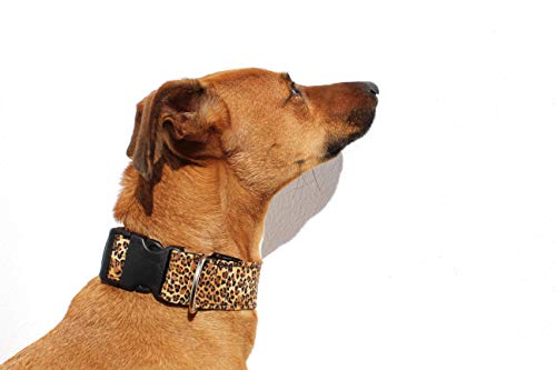 candyPet Collar Click para Perros - Modelo Leopardo