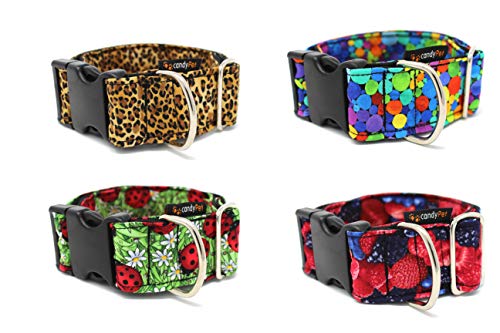 candyPet Collar Click para Perros - Modelo Leopardo