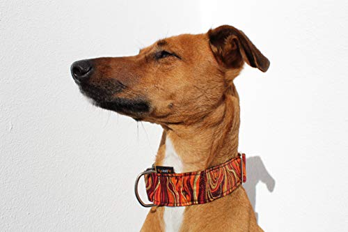 candyPet Collar Click para Perros - Modelo New Waves