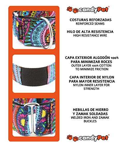 candyPet Collar Martingale para Perros-Modelo Peacock, L: Ancho 5 cm (30-50cm diámetro)