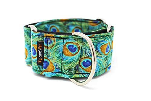 candyPet Collar Martingale para Perros-Modelo Peacock, L: Ancho 5 cm (30-50cm diámetro)