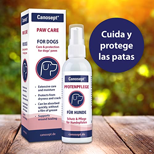 Canosept Cuidado De Las Patas 75g - Crema para El Cuidado De Las Patas para Que Estén Suaves Y Protegidas En Todas Las Condiciones Climáticas - Eficaz Bálsamo Protector De Almohadillas Perro