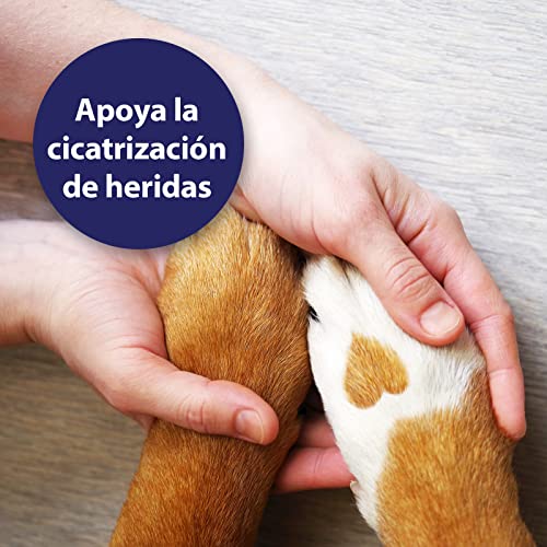 Canosept Cuidado De Las Patas 75g - Crema para El Cuidado De Las Patas para Que Estén Suaves Y Protegidas En Todas Las Condiciones Climáticas - Eficaz Bálsamo Protector De Almohadillas Perro