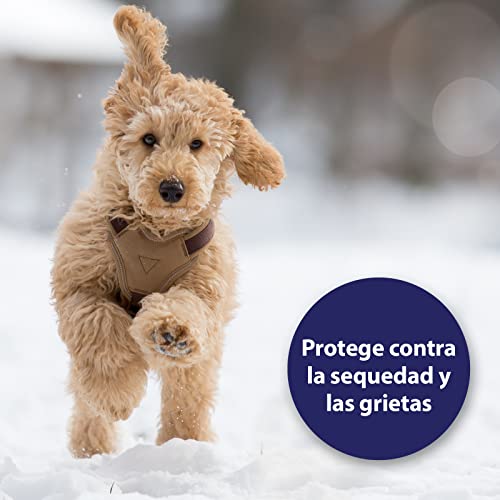 Canosept Cuidado De Las Patas 75g - Crema para El Cuidado De Las Patas para Que Estén Suaves Y Protegidas En Todas Las Condiciones Climáticas - Eficaz Bálsamo Protector De Almohadillas Perro