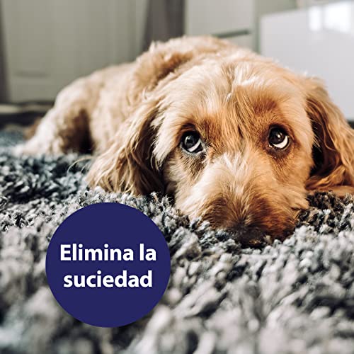 Canosept Cuidado de los Ojos para Perros 120ml - Cuidado y Limpieza para la Zona Alrededor de los Ojos - Elimina Manchas del lagrimal de Perros - Sin fragancias