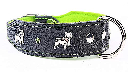 Capadi K0315 - Collar para Perro con Adorno de bulldoge con Adorno metálico de Piel auténtica Resistente con Revestimiento Suave, Verde, Ancho 40 mm, Longitud 50 cm