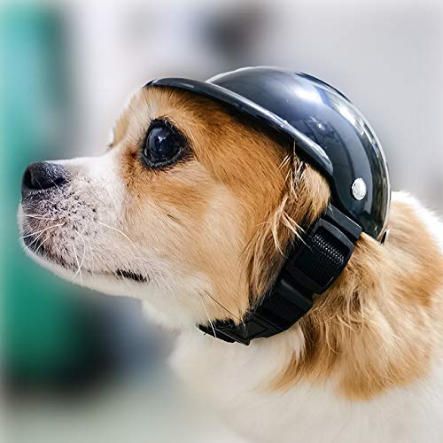 Casco para Mascotas, Gorra de Seguridad para Perros y Gatos, Gorra de Seguridad para Casco de Motocicleta para Mascotas, Cascos para Mascotas a Prueba de Sol y Lluvia