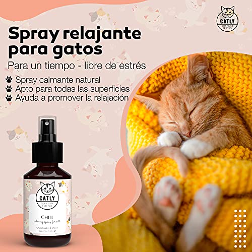 Catly Spray Tranquilizante para Gatos - Efecto Calmante y Relajante Gatos, Ideal para Viajes - Catnip Spray Antiestres Gatos - Relajante para Gatos, Alternativa Natural a Feromonas para Gatos, 100ml