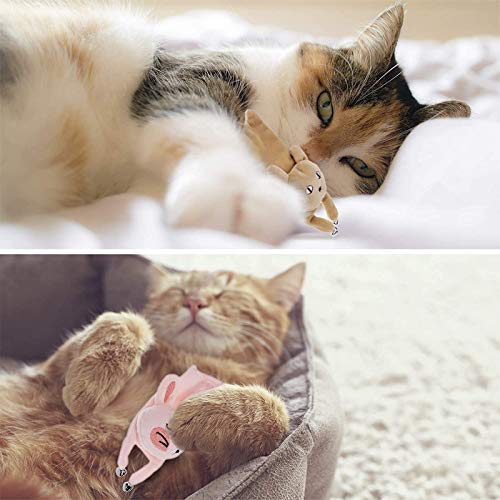 Catnip De Almohada para Gatos 3 Piezas Hierba Gatera Empleo De Gatos Hierba Gatera Interactiva con Un Pequeño Juego De Limpieza De Dientes Masticables De Campana Apto para Todos Los Gatos y Gatitos