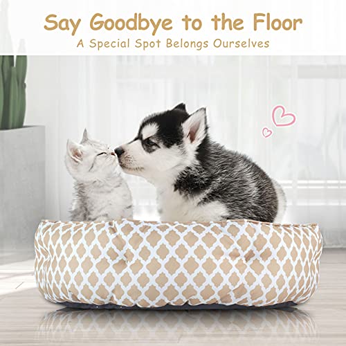 CatRomance Cama Gato y Perros Pequeños de Cálida 50cm de Diámetro, Sofá Cama para Mascotas Lavable con Suave Cojín Desmontable para Gatos Pequeño y Grandes, Perros Pequeños, 50x50x15 cm