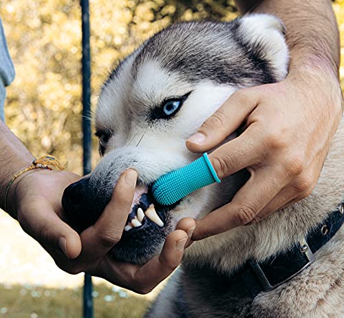 Cepillo de dientes de silicona para perros y gatos 360º (PACK 2 UDS) con diseño ergonómico para dedo - color azul