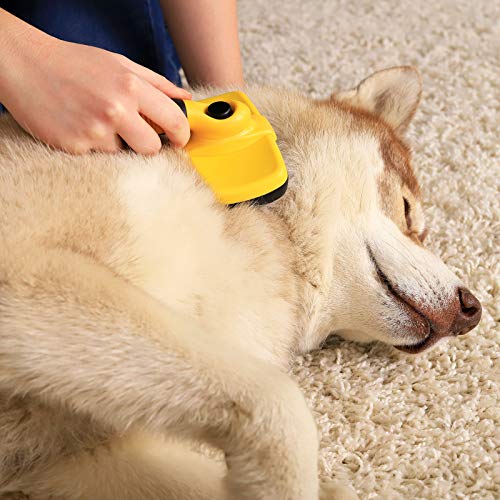 Cepillo para Perros y Gatos Carda autolimpiable para Eliminar el Pelaje caído Ideal para Pelo Largo y Medio-Largo