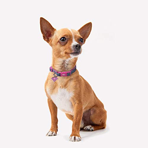 CERDÁ LIFE'S LITTLE MOMENTS Collar Perro Pequeño XS de Super Girl - Licencia Oficial Super Girl, Cranberry