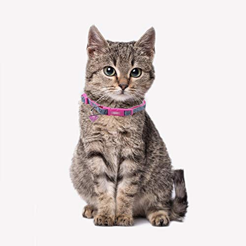 CERDÁ LIFE'S LITTLE MOMENTS Collar Perro Pequeño XS de Super Girl - Licencia Oficial Super Girl, Cranberry