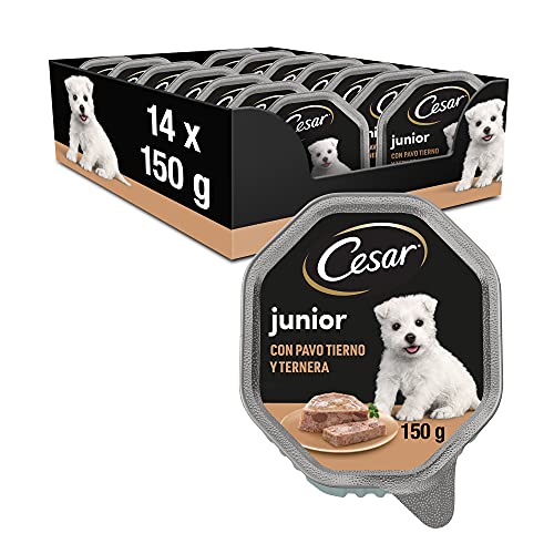 Cesar Comida Húmeda para Perros Cachorros Sabor Pavo y Ternera (Pack de 14 Tarrinas x 150g)