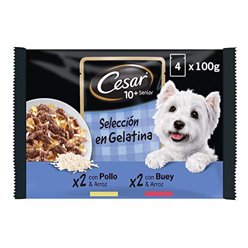 Cesar Comida Húmeda para Perros Senior Selección Carnes Mixtas en Gelatina, Multipack (Pack de 13 x 4 bolsitas x 100g)