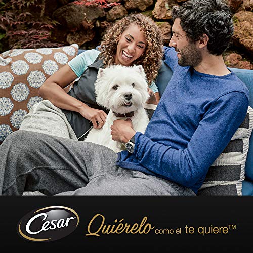 Cesar Comida Húmeda para Perros Senior Selección Carnes Mixtas en Gelatina, Multipack (Pack de 13 x 4 bolsitas x 100g)