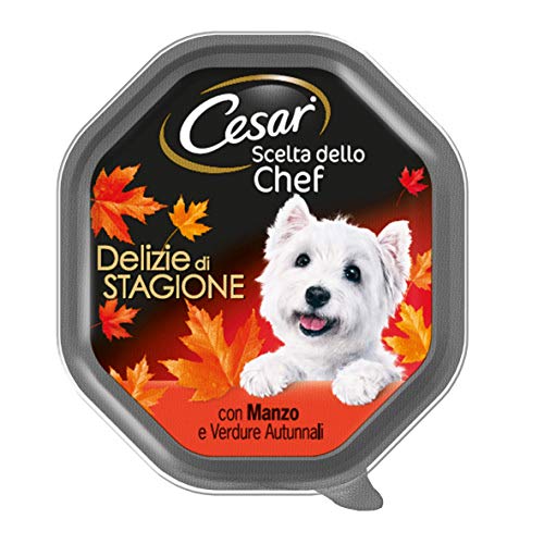 Cesar - Comida para Perros Selección del Chef, delicias de Temporada con Buey suculento, Patata y Zanahoria, 150 g, 14 tarrinas