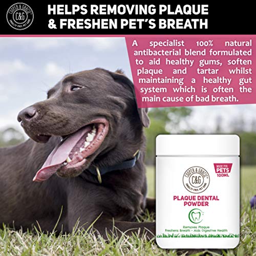 C&G Pets Polvo dental de placa, 100 ml, para sida y digestiva, mezcla antibacteriana a base de plantas, elimina la placa, refresca el aliento, ingredientes 100% naturales, para gatos y perros