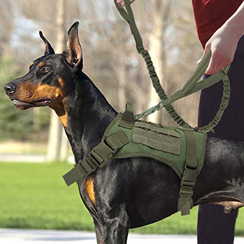 Chaleco De Entrenamiento Táctico para Perros con Correa,Perros De Entrenamiento Y De Trabajo,Arnés Táctico para Perro, Molle Patrol K9 Arnés para Perro para Perros Medianos, Grandes,Verde,XL