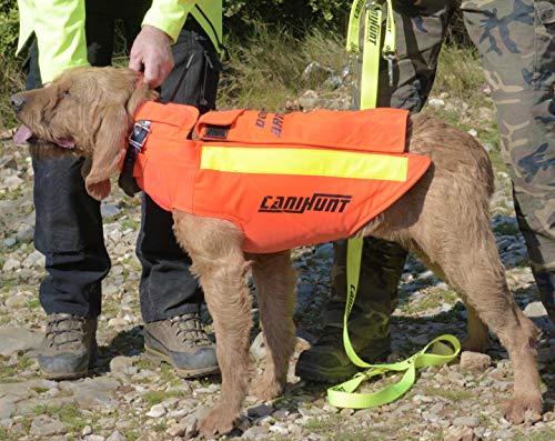 Chaleco de protección para perro canihunt Dog Armor V2