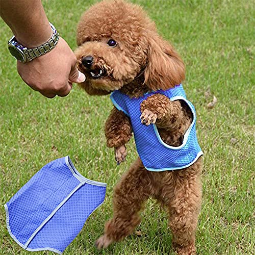 Chaleco de Refrigeración para Perro, Chaleco Refrescante Perro, Mascotas de Refrigeración del Chaleco, Dog Cooling Vest, Dog Cooling Jacket,Chaleco Enfriador de Mascotas con Cinta Mágica(azul) (S)