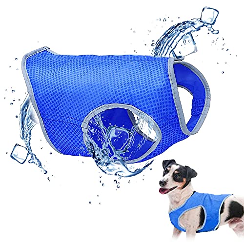 Chaleco Refrigerante para Perros, Chaleco De Enfriamiento para Mascotas, Chaleco Refrescante Perro, Chaleco De Hielo para Perros, Chaleco Refrescante para Mascotas Chalecos para Perros (Medium)