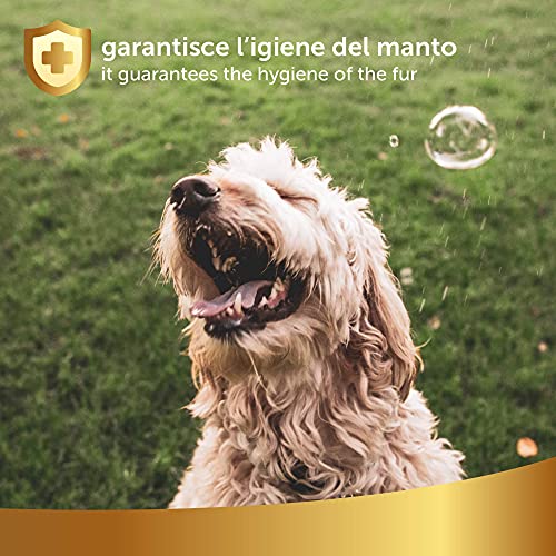 Champù en Seco Natural para Perros, 250 ml - Sin Necesidad de Agua ni Aclarado - con Ingredientes de Origen Vegetal - Apto para Todos los Tipos de Pelo, Linea 101