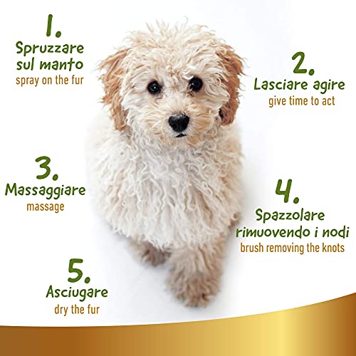 Champù en Seco Natural para Perros, 250 ml - Sin Necesidad de Agua ni Aclarado - con Ingredientes de Origen Vegetal - Apto para Todos los Tipos de Pelo, Linea 101