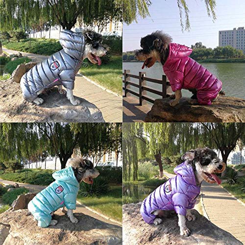 Chaqueta impermeable para perros de PU de invierno caliente ropa para mascotas para perros pequeños ropa de perrito Chihuahua Sudaderas con capucha Bulldog francés ropa Pug abrigo, verde lago, XL (16)