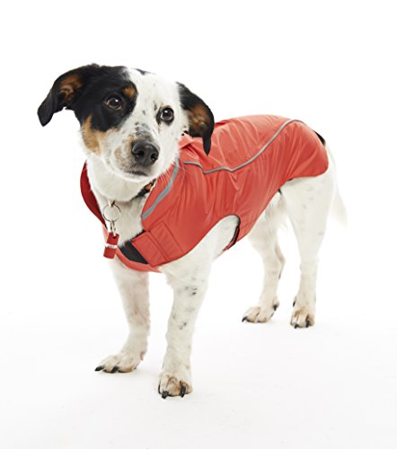 Chaqueta Suave de Buster para Perro