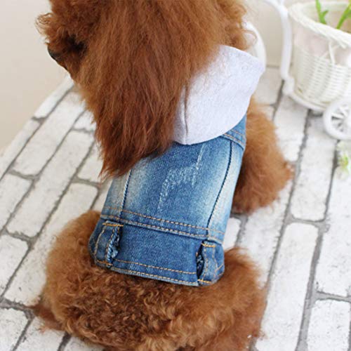 Chaqueta vaquera para perros con capucha para perros pequeños, cachorros, ropa vaquera para mascotas, chaleco para gatos, abrigo bichon frise Poodle (M, azul A)