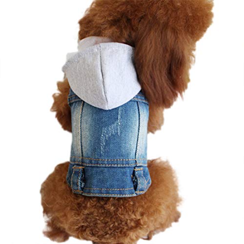 Chaqueta vaquera para perros con capucha para perros pequeños, cachorros, ropa vaquera para mascotas, chaleco para gatos, abrigo bichon frise Poodle (M, azul A)