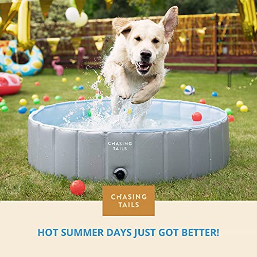 Chasing Tails Piscina de plástico para mascotas de 47 pulgadas, plegable de 11.5 pulgadas, piscina para mascotas de profundidad para nadar – Piscina plegable para perros grandes y pequeños