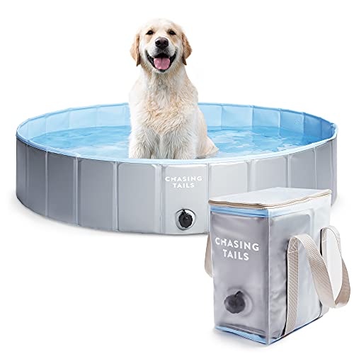 Chasing Tails Piscina de plástico para mascotas de 47 pulgadas, plegable de 11.5 pulgadas, piscina para mascotas de profundidad para nadar – Piscina plegable para perros grandes y pequeños