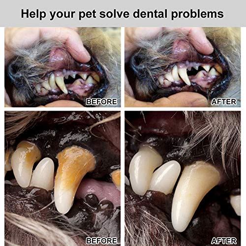 Cherioll Sarro Dental Limpiador,Limpiador de Dientes para Perros y Gatos,Dental Kit,Juego de eliminador de sarro para Perros, Juego de eliminación de sarro, para Perros y Gatos