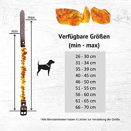 ChronoBalance® Collar de ámbar para perro, collar de ámbar auténtico con cierre de piel ajustable, tamaños para perros pequeños y grandes, sin productos químicos