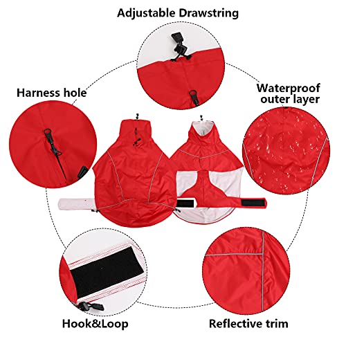 Chubasquero para Perros MOREZI, Impermeable/Impermeable, con cordón, cinturón y Bordes Reflectantes, Apto para Galgos y Perros de tamaño Mediano a Grande-Rojo-L