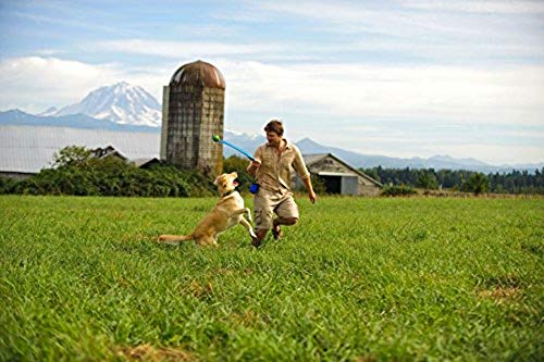 Chuckit! 06700 26 Lanzador de Pelotas para Perros, L